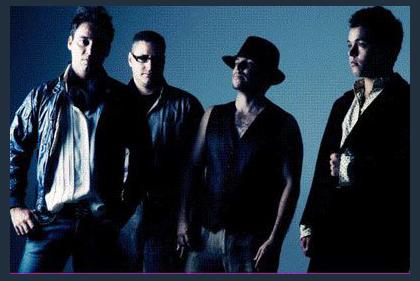 Playmoboys